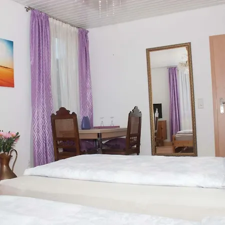 شقة Zum Adler بادن بادن