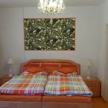 Zum Adler شقة بادن بادن